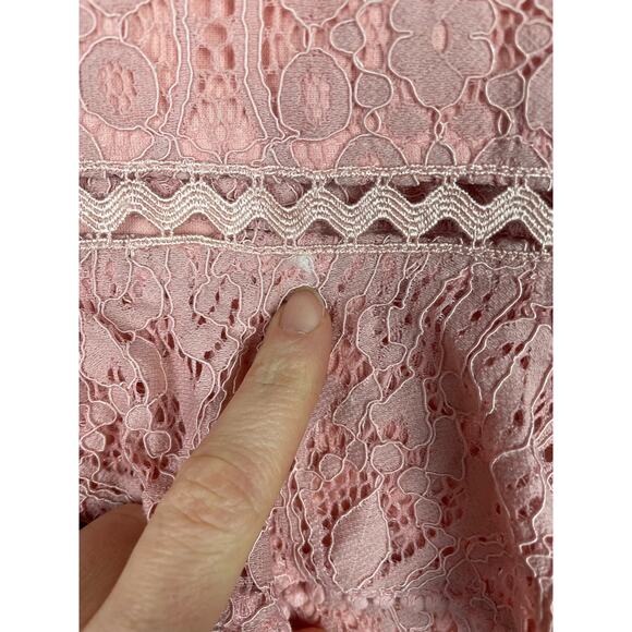 Foxiedox Pink Lace Dress Small High Neck Retro Pinup Boho Fairy Whimsical Formal - Picture 5 of 15